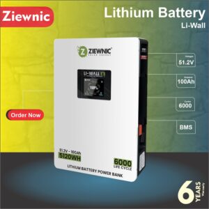 Ziewnic battery 51.2v 100Ah