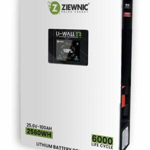 Ziewnic battery - 25v