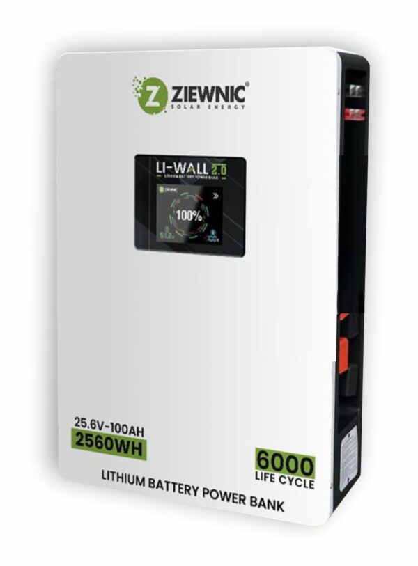 Ziewnic battery - 25v